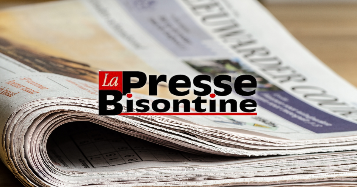 Pressebisontine