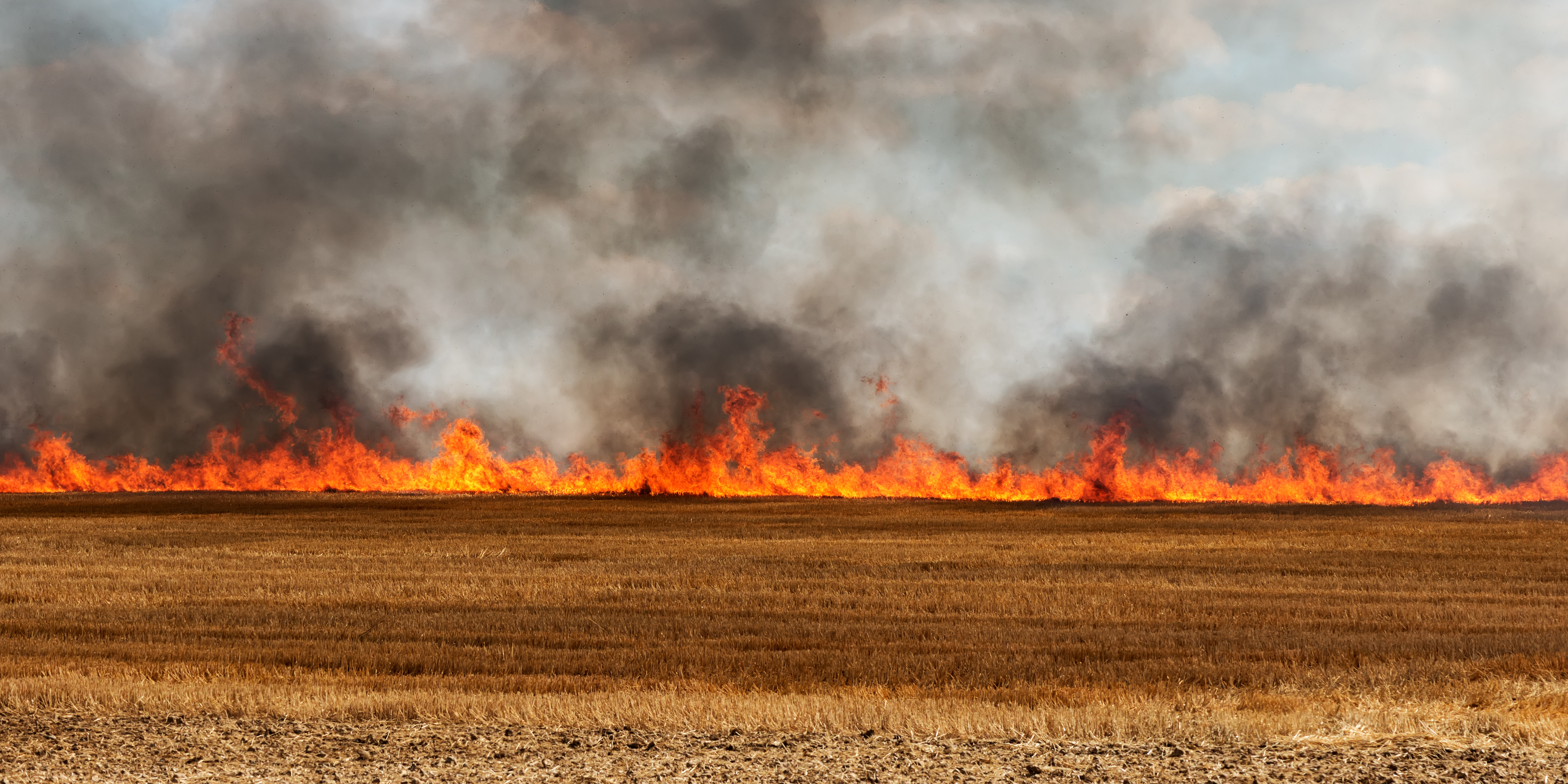 Incendies