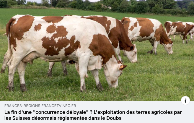 Capture Decran 2024 09 26 A 13.18.59 1