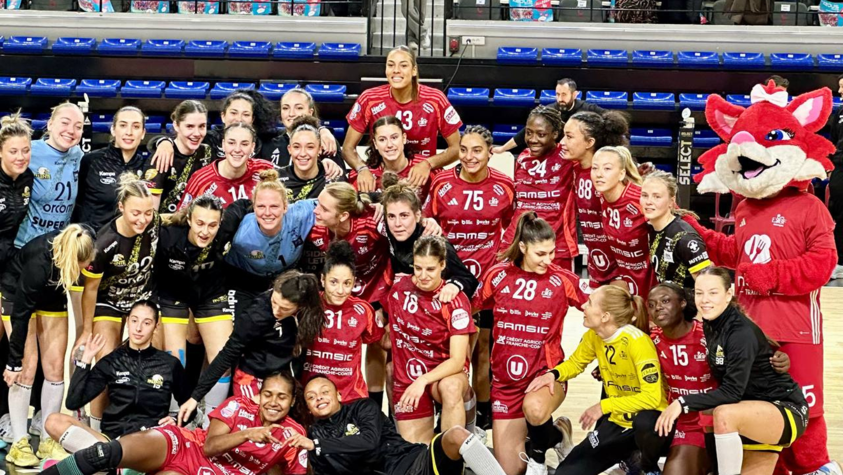 Visuel Article Site (73)